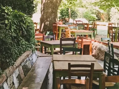 Photo of Avlonas garden