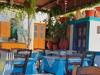 Photo of Edem Garden