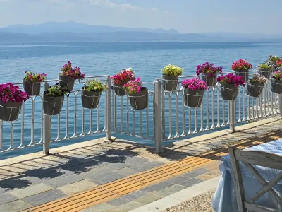 Photo of Gorgona di Stefano