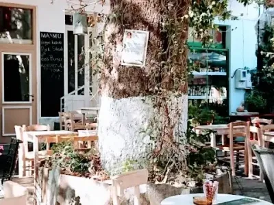 Photo of ma'mu ikaria