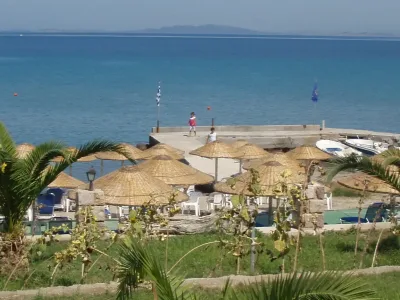 Photo of Xampelia